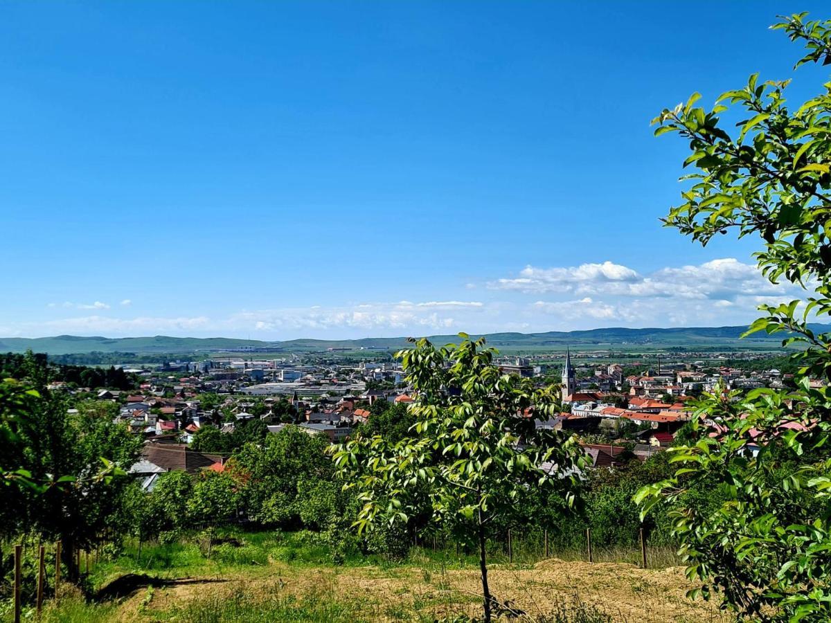 Bella Vista Bungalow Turda Dış mekan fotoğraf